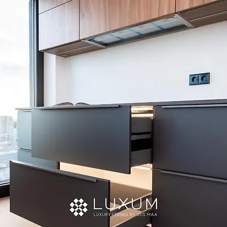 Διαμέρισμα Exclusive Penthouse On 18th Floor! Ταλίν
